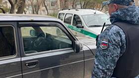 ФССП: как снять арест после оплаты задолженности в Колеса даром