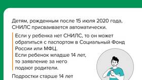Из чего состоит СНИЛС в Колеса даром