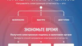 Как наложить арест на ИП: пошаговая инструкция в Колеса даром
