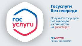 Как написать обращение через портал Госуслуги в Колеса даром