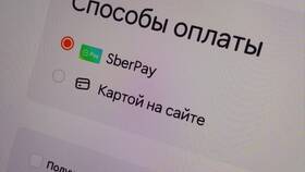 Как оплатить Додокоинами в Додо Пицца в Колеса даром