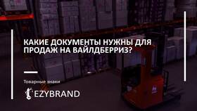Как подать в суд на продавца Wildberries в Колеса даром