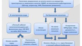 Как получить налоговую декларацию в электронном виде в Колеса даром