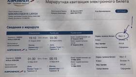 Как поменять паспортные данные в билете Аэрофлота в Колеса даром