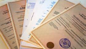 Как проверить коды ОКВЭД по ИНН организации в Колеса даром