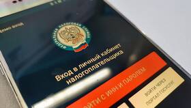 Как узнать имя по ИНН: законные способы в Колеса даром