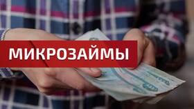 Как узнать все свои займы в микрозаймах: полное руководство в Колеса даром