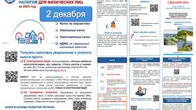 Не получила налоговое уведомление: что делать в Колеса даром