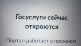 Почему в браузере не открываются Госуслуги в Колеса даром