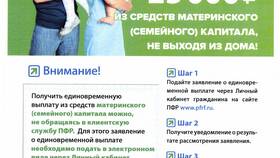Реорганизация негосударственного пенсионного фонда: что это означает в Колеса даром